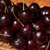 Stella Cherry #5 - Image 3
